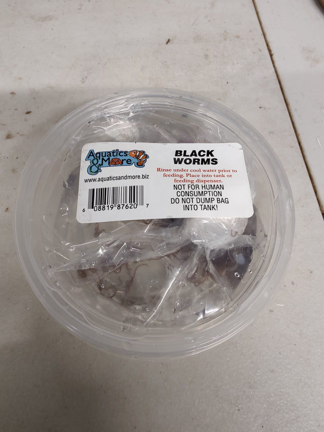 Black Worm Prepack